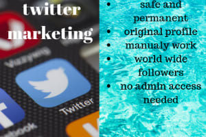 Portfolio for twitter marketing